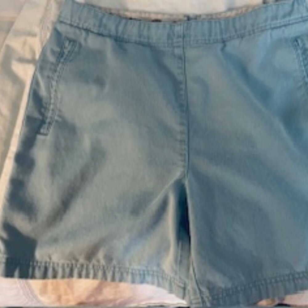 Tommy Bahama Women's light blue shorts